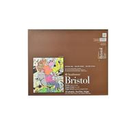 Strathmore Bristol Serie 400, pergamena a 2 strati, rilegatura a nastro, 35,6 x 43,2 cm, 15 fogli