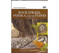 Strati rocciosi, fossili e alluvione