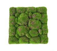 Strato non vivente della schiuma del muschio per la decorazione della parete interna negli edifici pubblici tra cui biblioteche e centri comunitari (2)