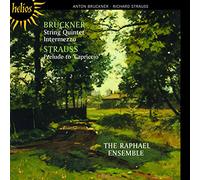 Anton Bruckner Bruckner: String Quintet/Intermezzo/... (CD) Album