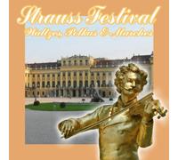 Strauss Festival Waltzes polka's and marches (cd 10 t)