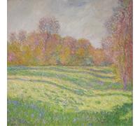 Strawberry Guy Sun Outside My Window (Vinyl LP) 12" Album