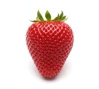 Strawberry Notebook: A Simple Fruit Notebook