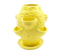 Strawberry Planter Multi-Tier Breathable - - with Drainage Saucer Garden |