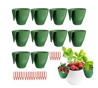 Strawberry Propagation Station - ABS Standard Size | Strawberry Cultivation Station, Breathable Fast Transplanting Planter With Forks | Efficient Plant Growth Tool For Windowsill Garden, Yard, Farm, B