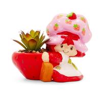 Strawberry Shortcake 4-Inch Ceramica Mini Fioriera Con Artificiale Succulente
