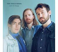 The Stray Birds Let It Pass (CD) Album