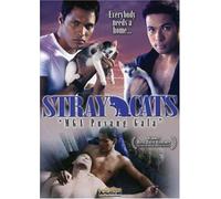 Stray Cats