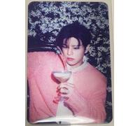 Stray Kids Bang Chan Photocard Do it IT ver lenticular Un membro ufficiale...