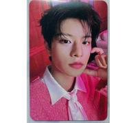 Stray Kids Do it BDM BlueDreamMedia PCB Scheda fotografica ufficiale PC