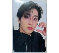 Stray Kids Do it BDM BlueDreamMedia PCB Scheda fotografica ufficiale PC