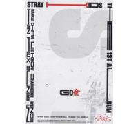 Stray Kids GO LIVE (CD) Album (Gift Set)