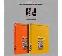 STRAY KIDS IN生 1° Album Repackage STANDARD 2 Ver SET/2CD+2Book+6Card+2POB+GIFT