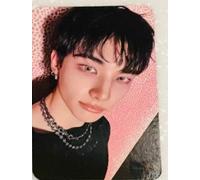 Stray Kids Photocard Do it MusicKorea Official - Scegli il membro