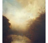 Stray Theories This Light (Vinyl LP) 12" Album