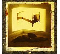 Straylight Run