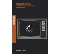 Streaming media. Distribuzione, circolazione, accesso