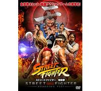 STREET FIGHTER: ASSASSIN`S FIS
