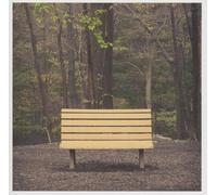 STREETLIGHT MANIFESTO - THE HANDS THAT THIEVE (CLEAR VINYL)