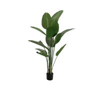 Strelitzia Artificiale EUROPALMS 170cm - Pianta Decorativa Realistica per Intern