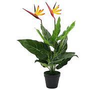 Strelitzia Reginae - Uccello del paradiso artificiale, 66 cm, con 12 foglie e 2 fiori, pianta artificiale in plastica, per ufficio, soggiorno, balcone, decorazione facile da pulire, con vaso