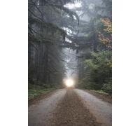 Strength for the Journey: A 30-Day Devotional Journal for Kingdom Men