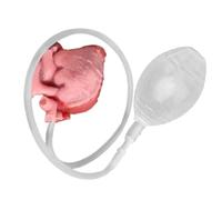 Stress Ball, Realistic Heart Squeeze Toy, Soft Slow Rebound Sensory Ball, Funny Prank Desk Accessory, Ideale per adulti, studenti, donne, compleanno, vacanze, viaggi e feste