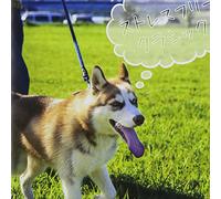 STRESS-FREE CLASSIC - VARIOUS