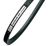 Stretta cinghia trapezoidale Spa/1120