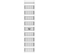 Striebel & John FM19 FM19 Mediafeld 9RE