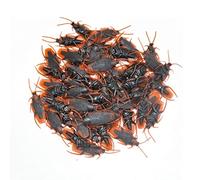 Striegro 50 Pezzi Scherzi scarafaggi, sembrano Veri Giocattoli di plastica, scherzi di Insetti Spaventosi, bavaglio Realistico di Insetti, novità scarafaggi per la Festa di Halloween (50 Pezzi).