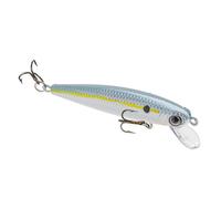 Strike King (HCJB-590) Bitsy Jerkbait Esca da pesca, a lento affondamento minnow profilo, esca dura, 1/8 oz, taglia 10 ami tripli, Sexy Shad