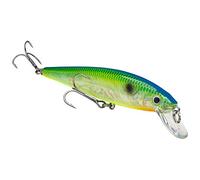 Strike King KVD 200 Series Jerkbait sospeso M 10,2 cm