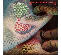 String Driven Thing - The Machine That Cried