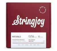 Stringjoy NB1050 Handmade naturale bronzo chitarra acustica, extra Light gauge set (10 - 50) Medium Gauge - 13-56