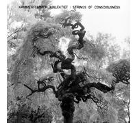 Strings of Consciousness 10"