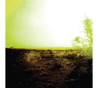 Strings Of Consciousness/Ang - Strings Of Consciousness