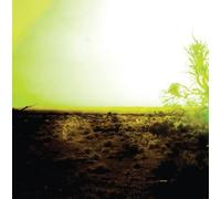 Strings Of Consciousness/Ang - Strings Of Consciousness &