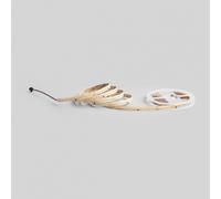 strip led cob digitale 24v 15w/m 1095lm/m 6500k 500cm