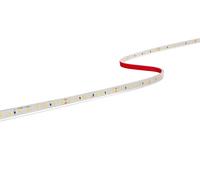 Strip LED Lunghezza 5m Century ACCENTO PRO 60W Luce Calda 3000K 1500Lm/m - ACP5