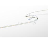 Strip LED Lunghezza 5m Century ACCENTO PRO 60W Luce Naturale 4000K 1500Lm/m - A