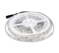 Bobina Led 300 SMD 5050 12V 10,8W/M Freddo 6400K IP65 Impermeabile 5 Metri Ungue