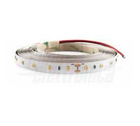 STRIP STRISCIA 5m 24V 12 W/M LED 2835 6500K LUCE Fredda ALTA QUALITA 64LM [EEK: A+]