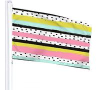 Striped Flag 3x5 FT Brush Painted Geometric Rainbow Stripes Black White Spot Polka Dot Outdoor Flags Large Welcome Yard Banners Home Garden Yard Lawn Decor
