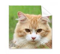 Strisce gialle Cat stare Pet Animal occhiali panno di pulizia Gift Phone Screen Cleaner 5PCS