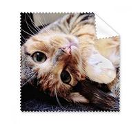 Strisce Kitty Cat relax animale adorabile occhiali panno di pulizia Gift Phone Screen Cleaner 5PCS