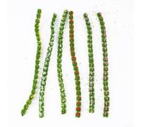 Strisce Statica per Tufts Miniature Scenari con Fiori Selvatici per Plastici Ferroviali e Architettura 20cm