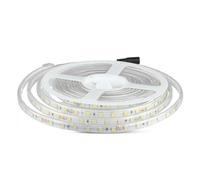 STRISCIA 600 LED BIANCO FREDDO 5 METRI IMPERMEABILE 24V VT-5050IP65300-LED212564