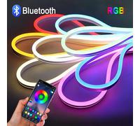 Striscia LED al neon RGB DC12V/24V con spina europea, striscia RGB al neon 1/2/3/4/5/10/15M con Bluetooth/telecomando per illuminazione decorativa al neon domestica
