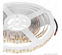 STRISCIA LED Bobina 5mt 5630 5050 3528 RGB Strip SMD Impermeabile IP65 e IP20